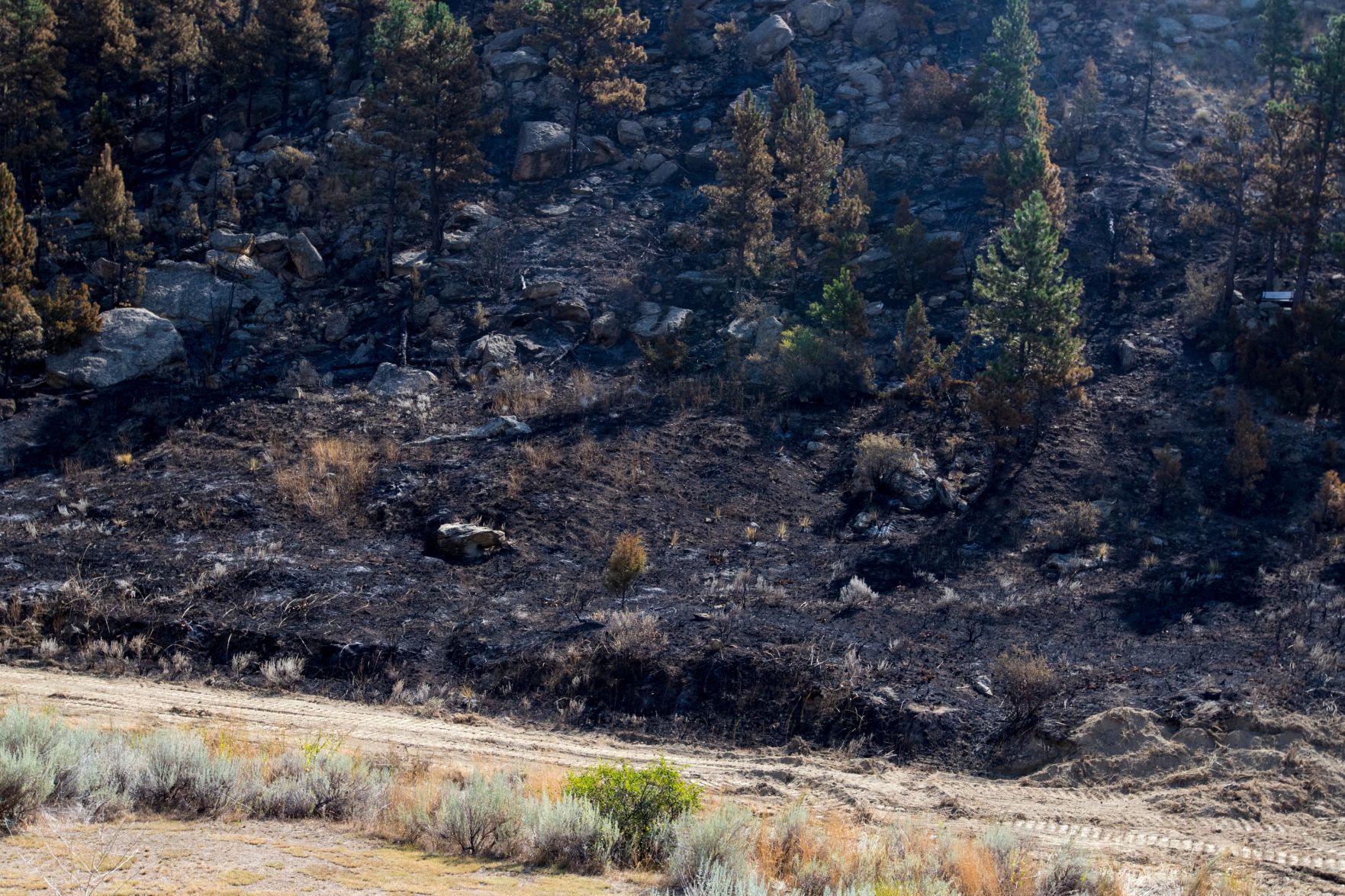 Mountain View fire